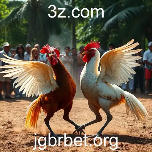 Rinha de Galos: História, Controvérsias e o Papel do Jgbrbet